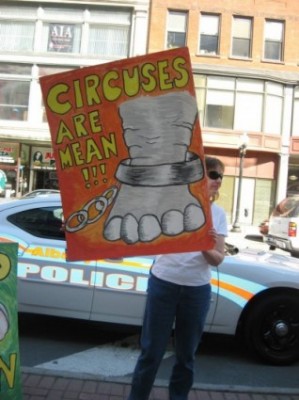 Ringling Brothers Circus Protest: Abby McCormick-Foley Speaks Out 