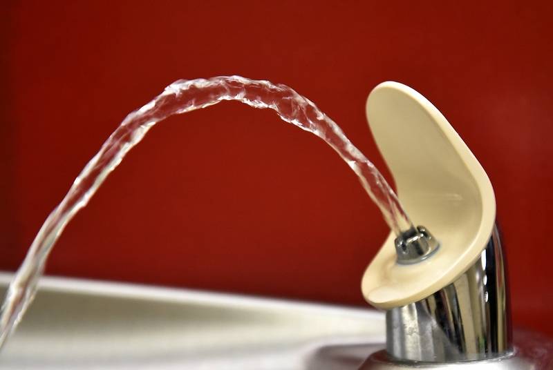 Which Water Fountain Should You Use?