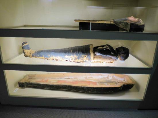 The Albany Mummie